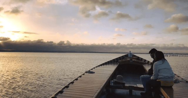 PASEO EN BARCO (Arrozal + Laguna de la Albufera + reserva de fauna)